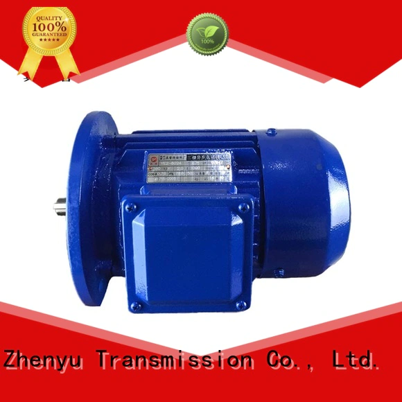 Zhenyu fine- quality ac single phase motor for chemical industry