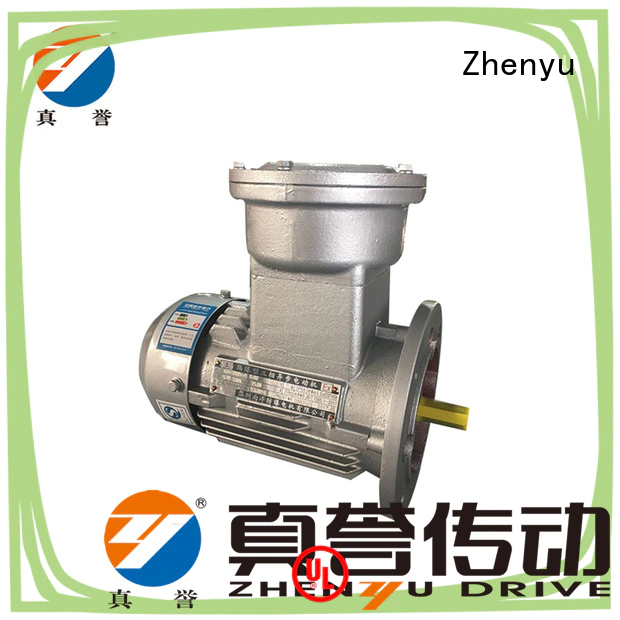 Zhenyu low cost single phase electric motor for wholesale for metallurgic industry