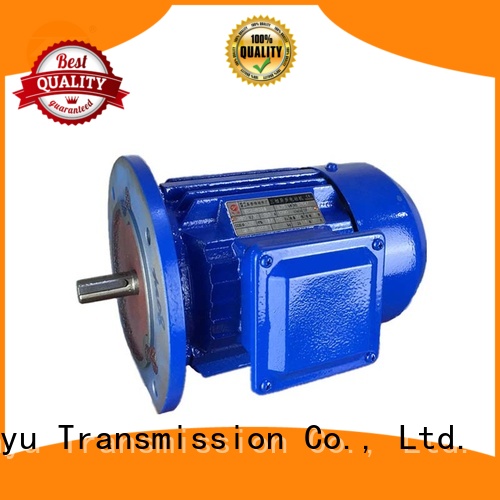 Zhenyu motor single phase ac motor for metallurgic industry