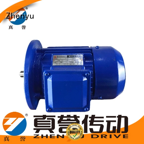 Zhenyu hot-sale electric motor supply for wholesale for dyeing