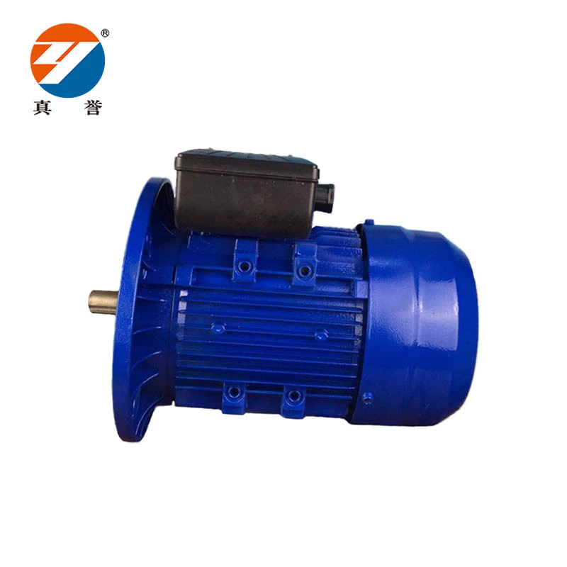 YL ac electrical synchronous single motor