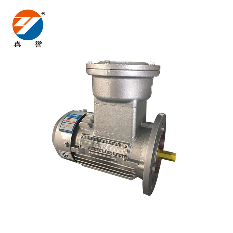 Zhenyu 12v single phase ac motor at discount for textile,printing-1