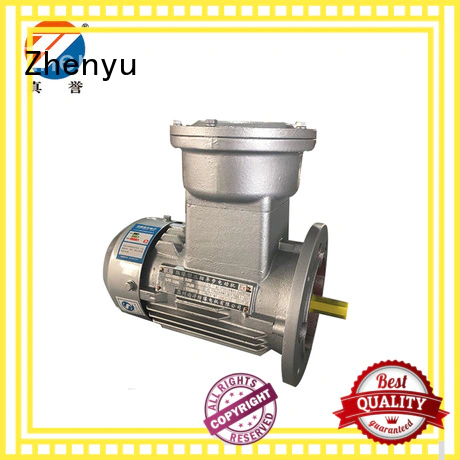 ye2 cheap electric motors for wholesale for chemical industry Zhenyu