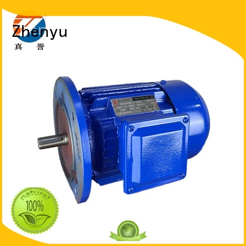 Zhenyu details three phase motor check now for chemical industry