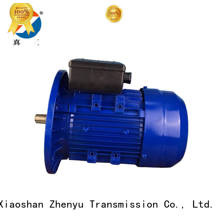 YL ac electrical synchronous single motor