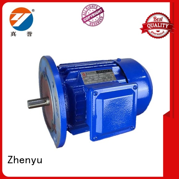 Zhenyu hot-sale 12v electric motor check now for chemical industry