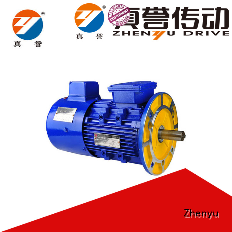 Zhenyu motor 3 phase motor for wholesale for mine