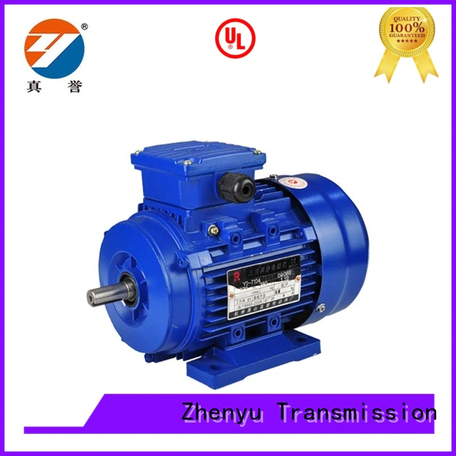 Zhenyu ye2 electric motor generator check now for chemical industry