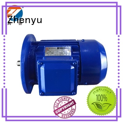 yd single shaft motor ye2 for transportation Zhenyu