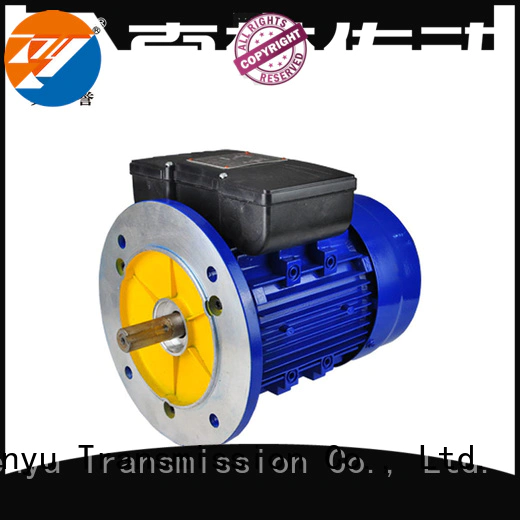 YC ac synchronous single Electric Motor