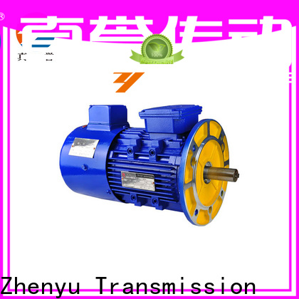 Zhenyu hot-sale ac electric motor for mine