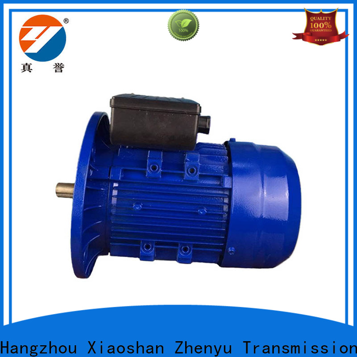 Zhenyu synchronous electrical motor free design for chemical industry