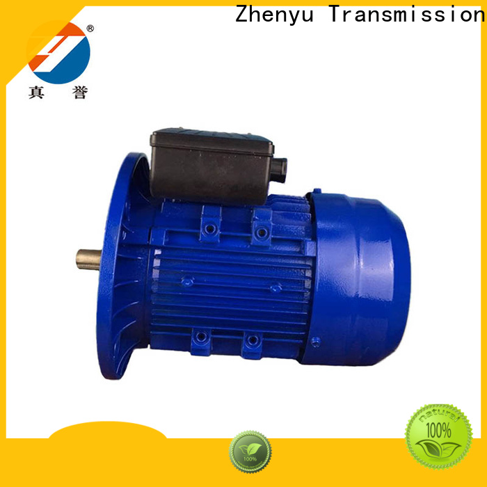 Zhenyu fine- quality single phase ac motor for wholesale for chemical industry