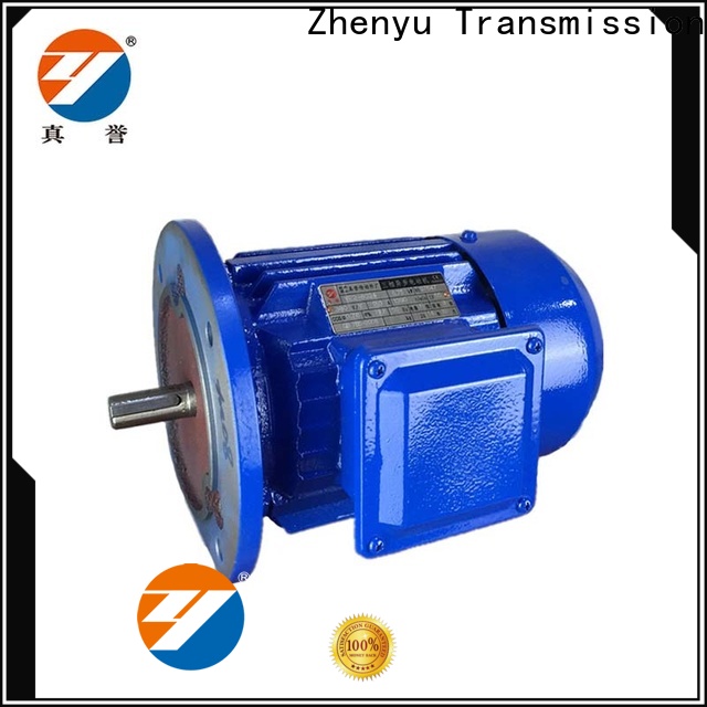Zhenyu details electrical motor for chemical industry