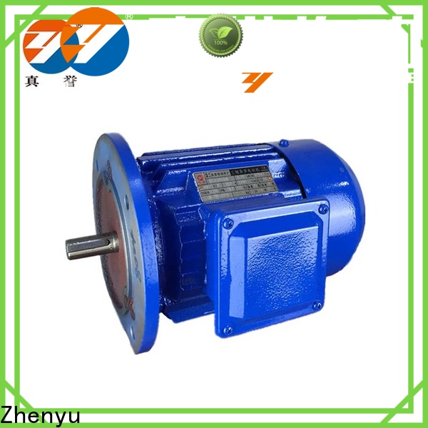 Zhenyu 12v electric motor supply free design for chemical industry