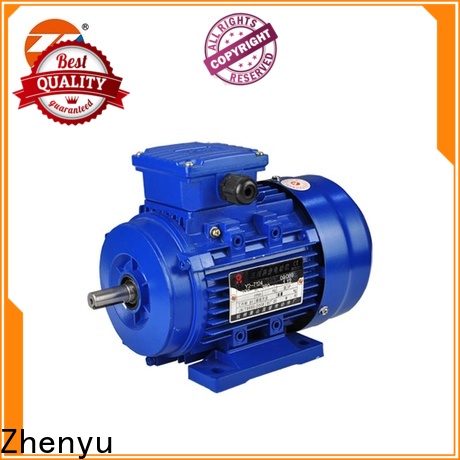 Zhenyu asynchronous single phase motor for chemical industry
