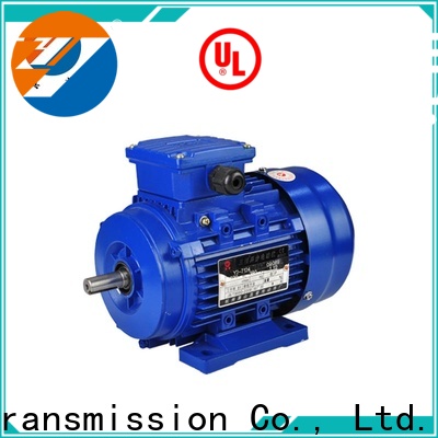 Zhenyu yvp electric motor supply free design for transportation