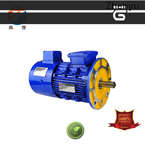 Zhenyu synchronous ac synchronous motor free design for metallurgic industry