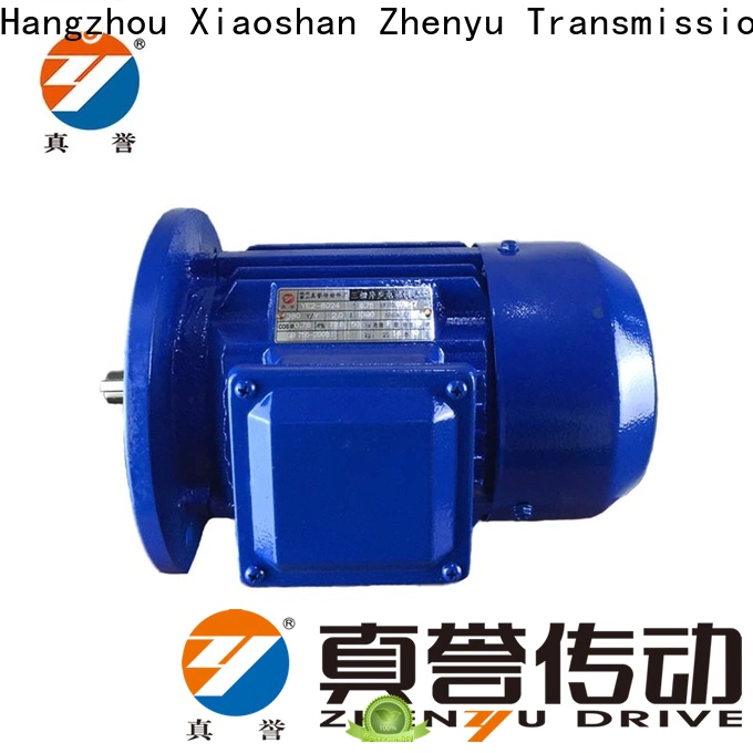 Zhenyu low cost 12v electric motor for wholesale for metallurgic industry