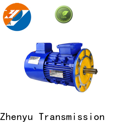 Zhenyu pump ac single phase motor for chemical industry