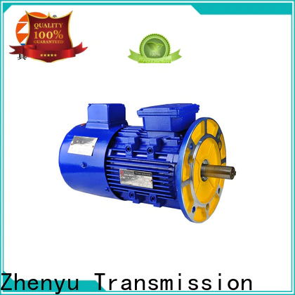 Zhenyu synchronous ac electric motor free design for chemical industry