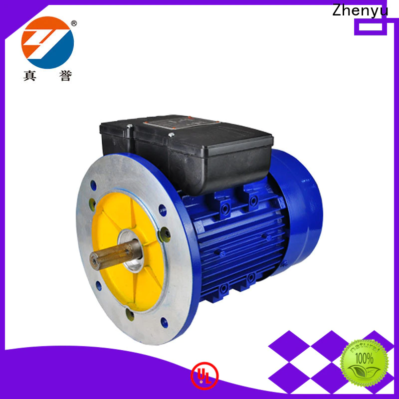 Zhenyu high-energy 3 phase electric motor for wholesale for chemical industry