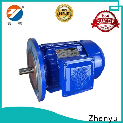 Zhenyu pump electric motor supply for wholesale for metallurgic industry